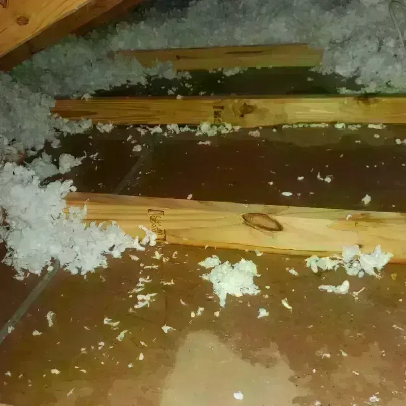 Attic Water Damage in Aztalan, WI