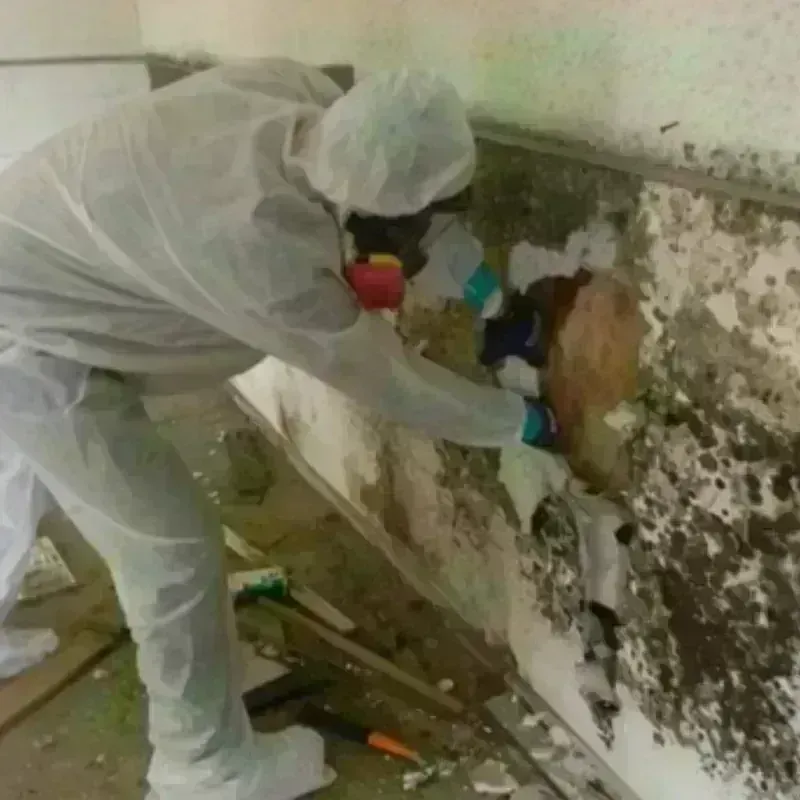 Mold Remediation and Removal in Aztalan, WI