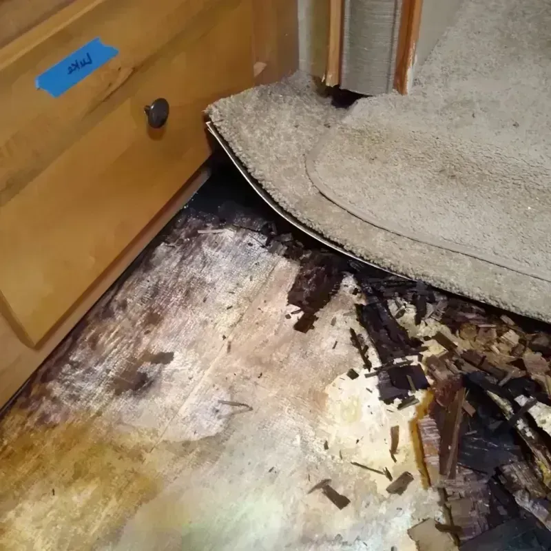 Wood Floor Water Damage in Aztalan, WI